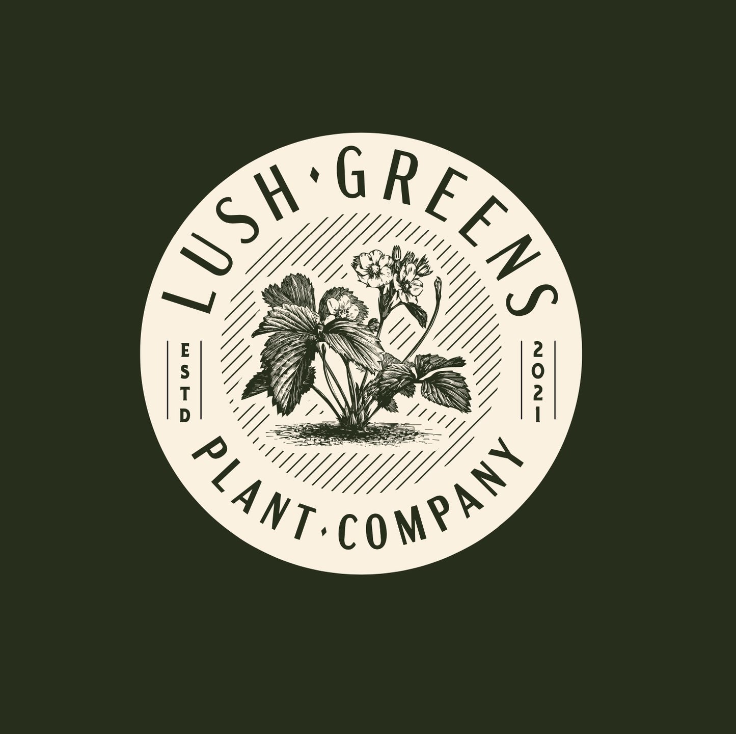 Lush Greens Plant Co Gift card