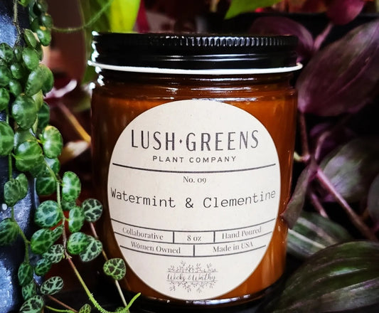 Watermint & Clementine: No. 09 Candle, 8 Oz